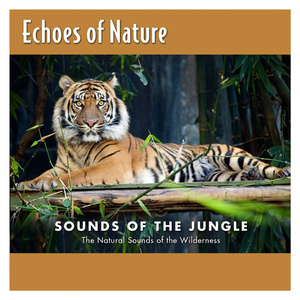 海棠调教SP打屁男男
